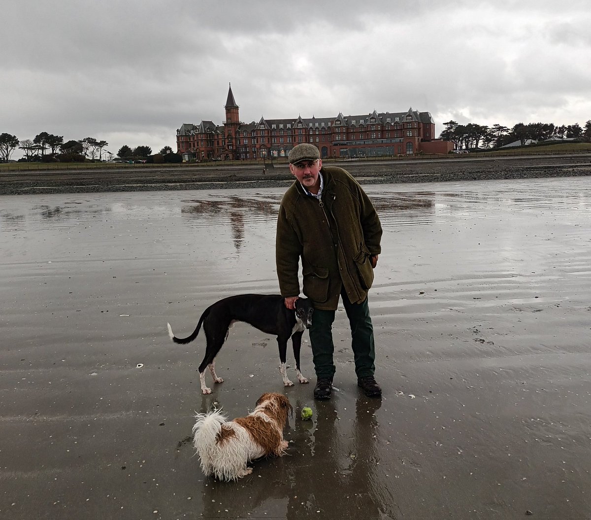 Fabulous lunch yesterday at Bucks Head Inn, Dundrum.  Food and service were just perfect, and felt deserved after a doggie beach walk 🥰