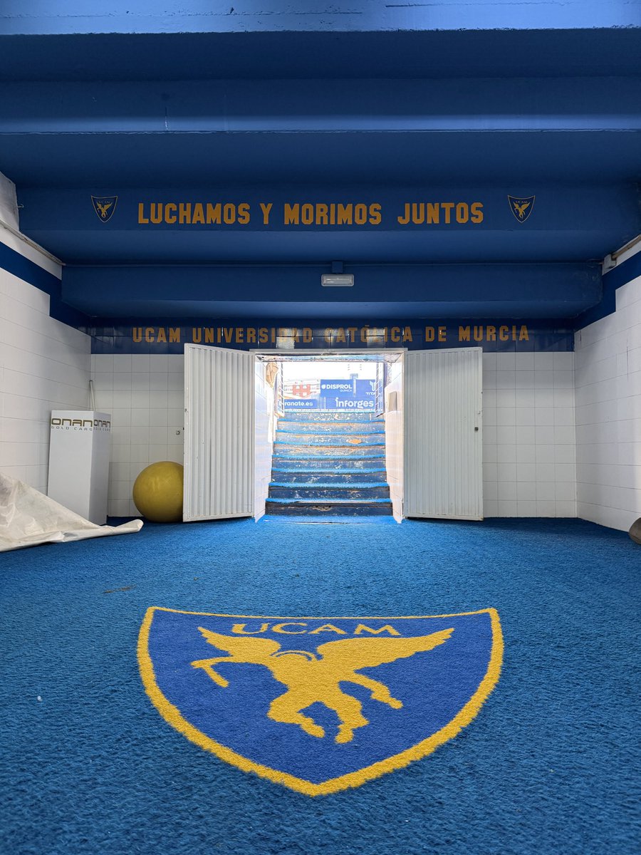 Orihuela_CF's tweet photo. 🏟️𝐁𝐞𝐒𝐨𝐜𝐜𝐞𝐫 𝐋𝐚 𝐂𝐨𝐧𝐝𝐨𝐦𝐢𝐧𝐚 

#VamosEscorpiones 🦂 https://t.co/O14kC2p5Xe