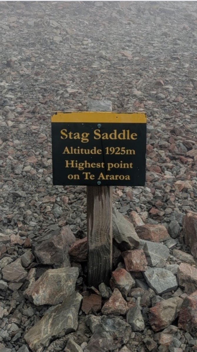 FrankDecorte's tweet image. Day 26 (78km) 2370/3100km
Another tough day for #KarelSabbe on his search for the #FKT
The crew and Karel were very excited to cross the Rangitata river (7km) after reaching the highest point of #TeAraroa earlier. They don't know how many water they will find in the river