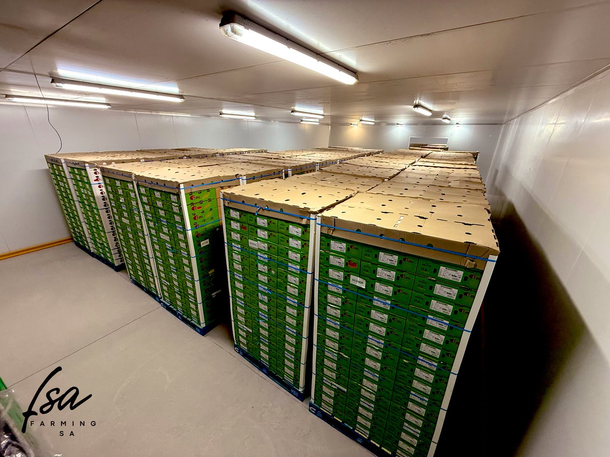 Farming_SA's tweet photo. Ready to be shipped where ever you are in the world. 🌍 🍇
#TableGrapes #Export #World https://t.co/lK4feOFnUO