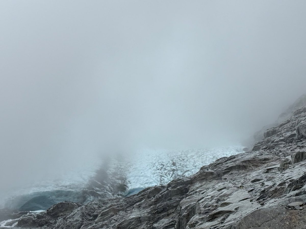 El viaje del mapache 🦝 tweet media