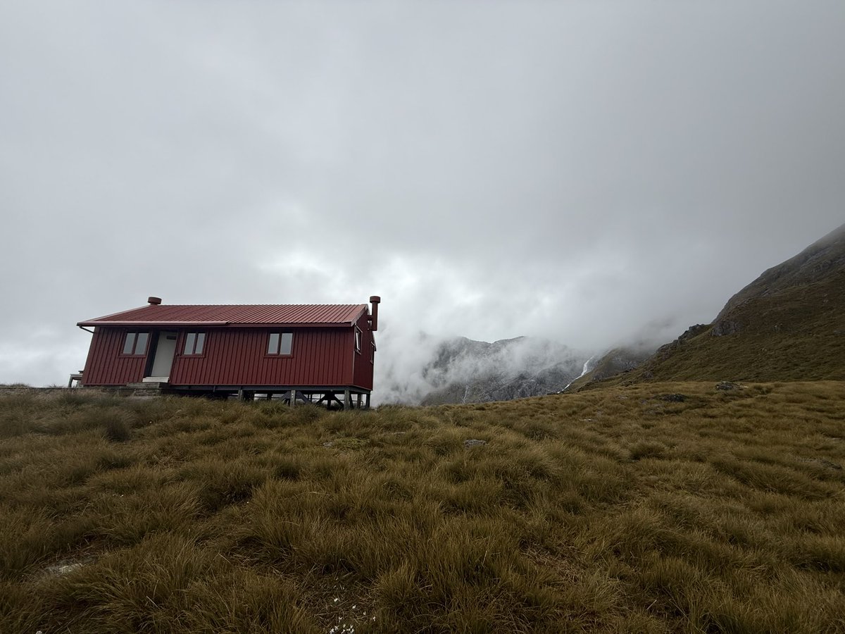 El viaje del mapache 🦝 tweet media