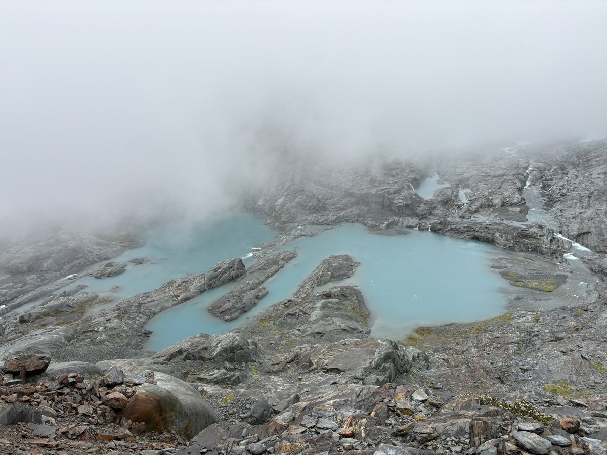 El viaje del mapache 🦝 tweet media