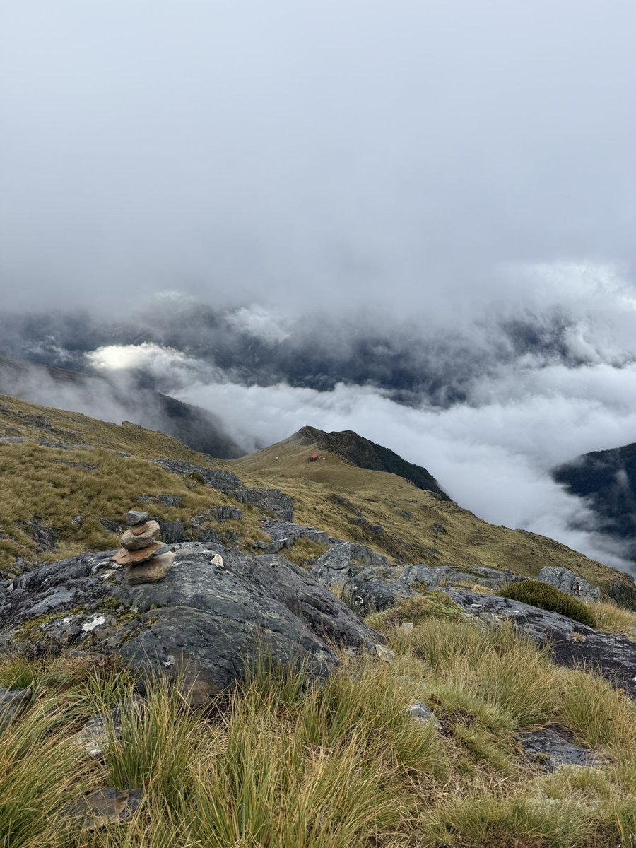 El viaje del mapache 🦝 tweet media