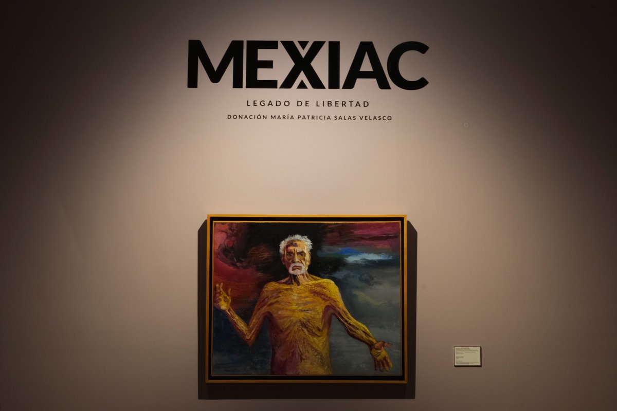 ¿#SabíasQue de martes a domingo  tenemos actividades para ti? 😱

El equipo de MUNAL + Experiencias, ofrece recorridos por las exposiciones permanentes y temporales.

📆 Te esperamos de martes a domingo a las 12 y 14 h
Informes: visitasguiadas@munal.inba.gob.mx

¡Incluido en tu