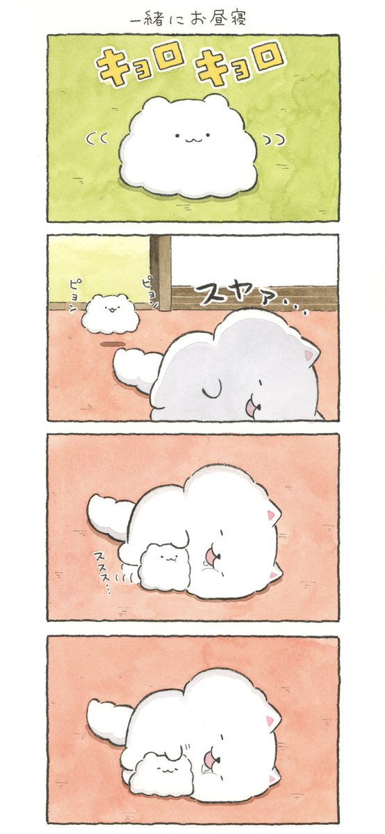 一緒にお昼寝😴 