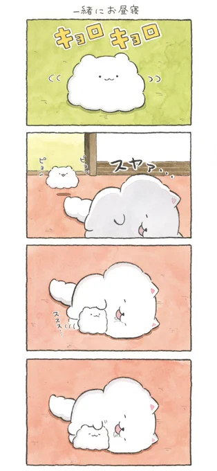 一緒にお昼寝😴 