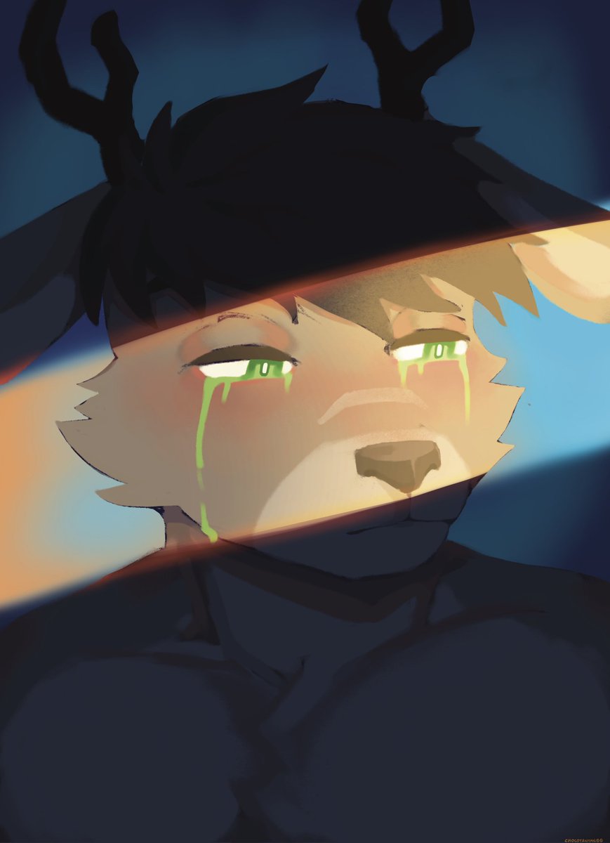 Acceptance 
#DawnChorusVN