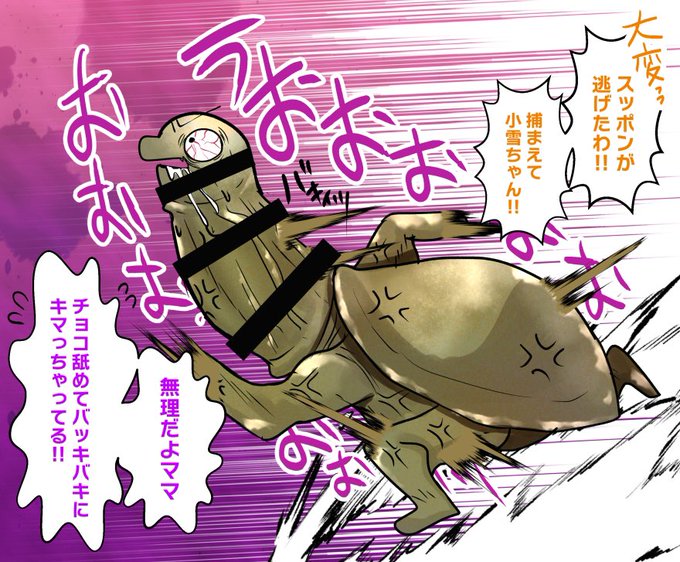 スッポン君は全力で逃げました 