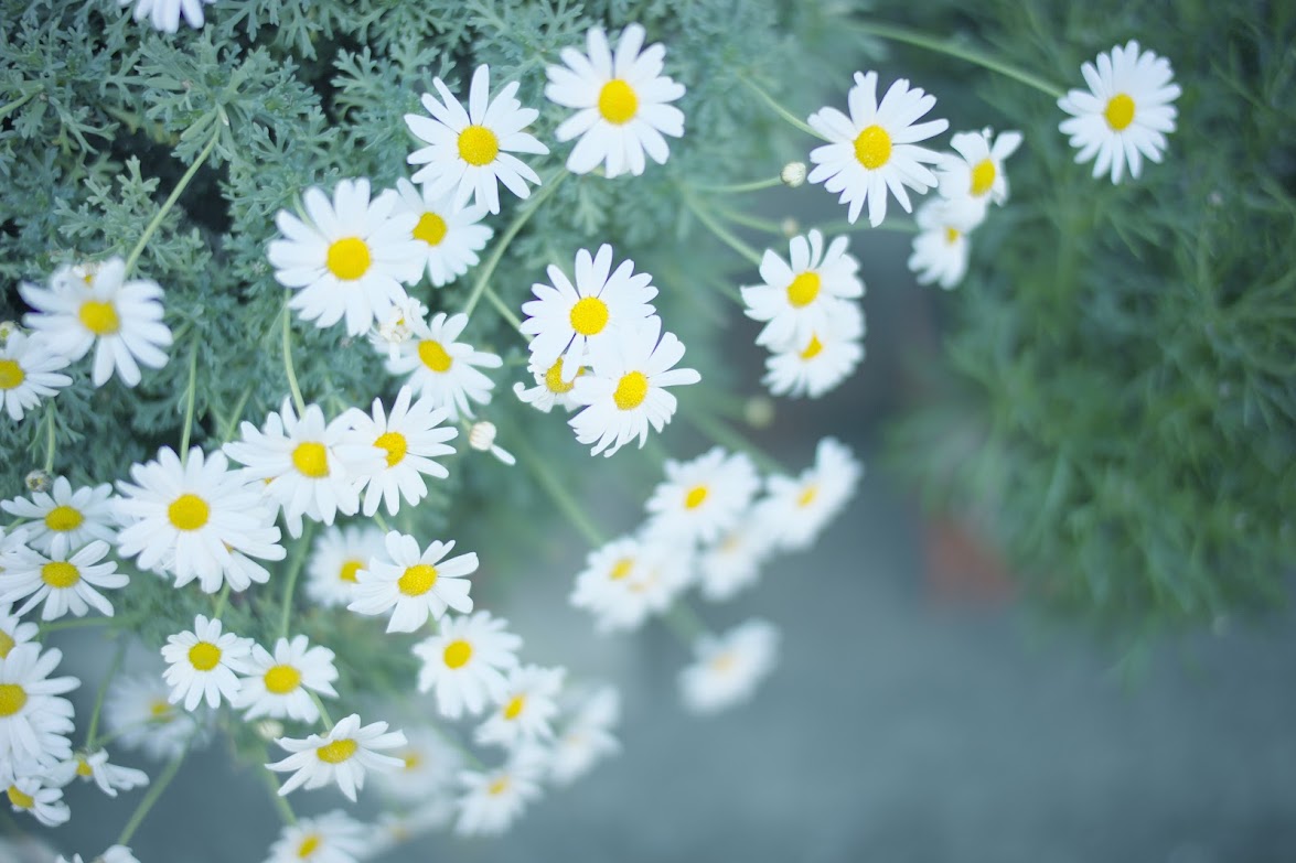 喪失は喜ばなくてはいけない
強くなるから
世界は優しさに満ちているのに
誰かの悪意に負けてたまるものか