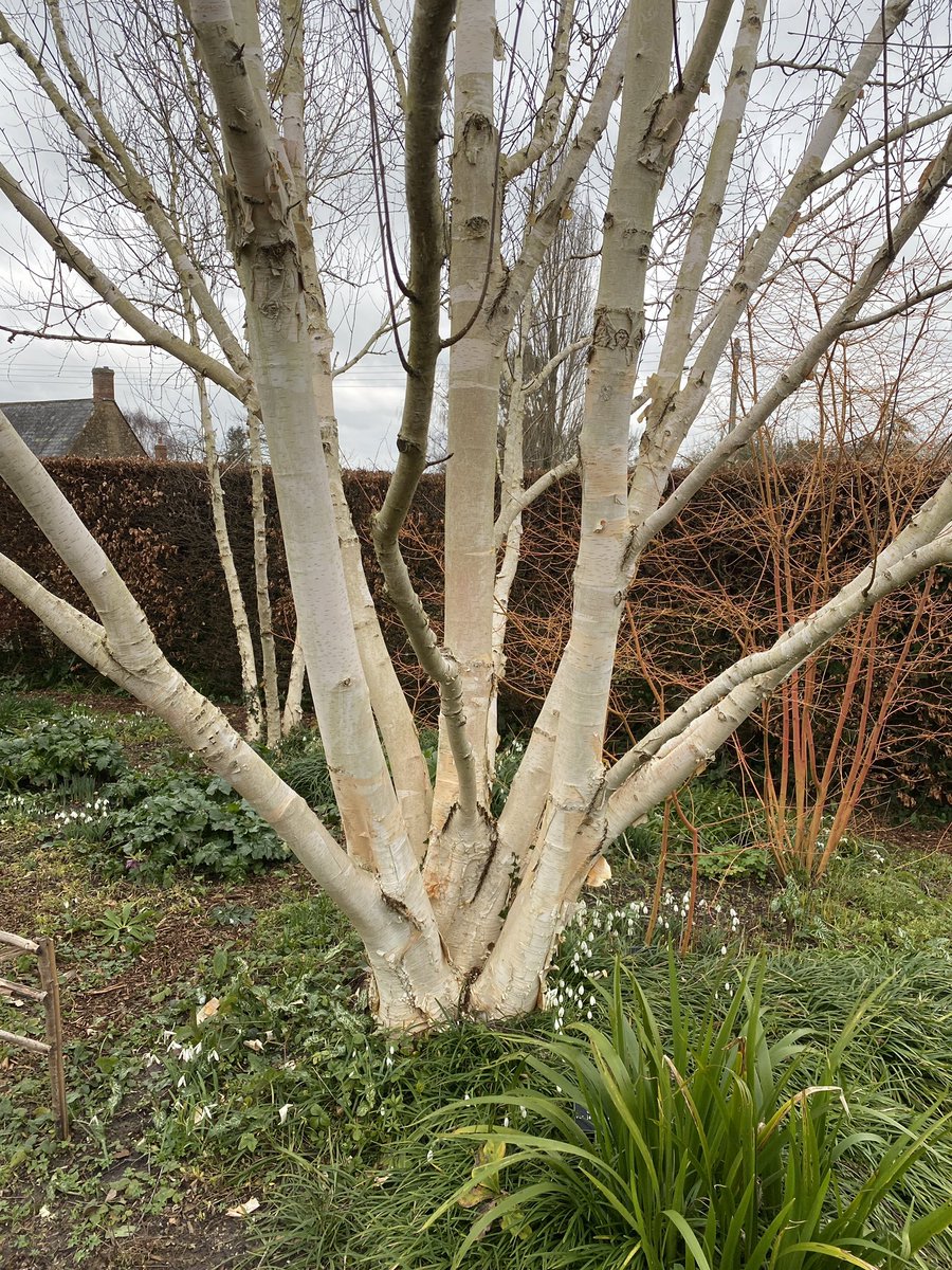 Alan E Down tweet media