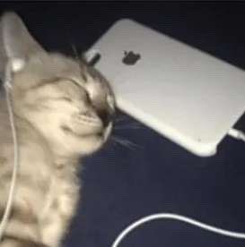 i need to get some work in dude

1 retweet = 5 minutes of editing
1 like = 10 minutes of editing
1 comment = 15 minutes of editing

i dont actually about interactions just give me motivation lmao