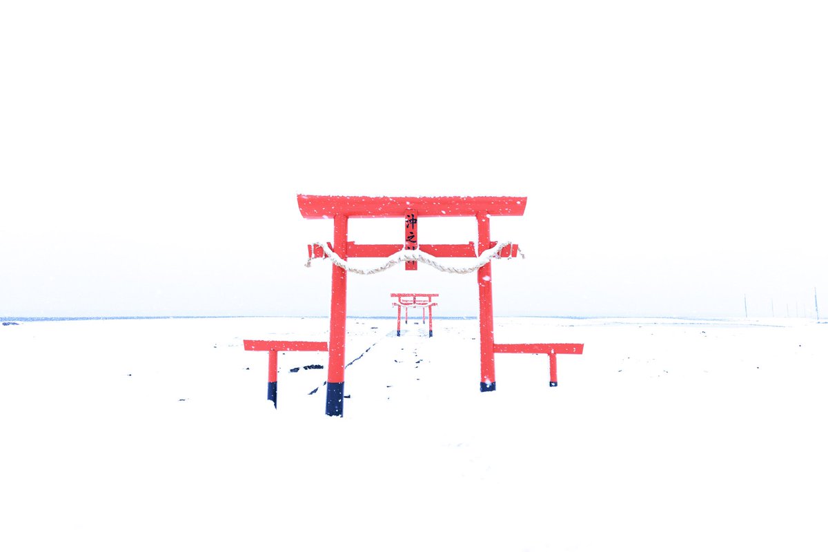 plain_tree's tweet photo. 寒波がもたらした海中鳥居の白と黒

#海中鳥居
#大魚神社
#東京カメラ部
#キャノン党でほめあいたい https://t.co/3Up9OL9zgt
