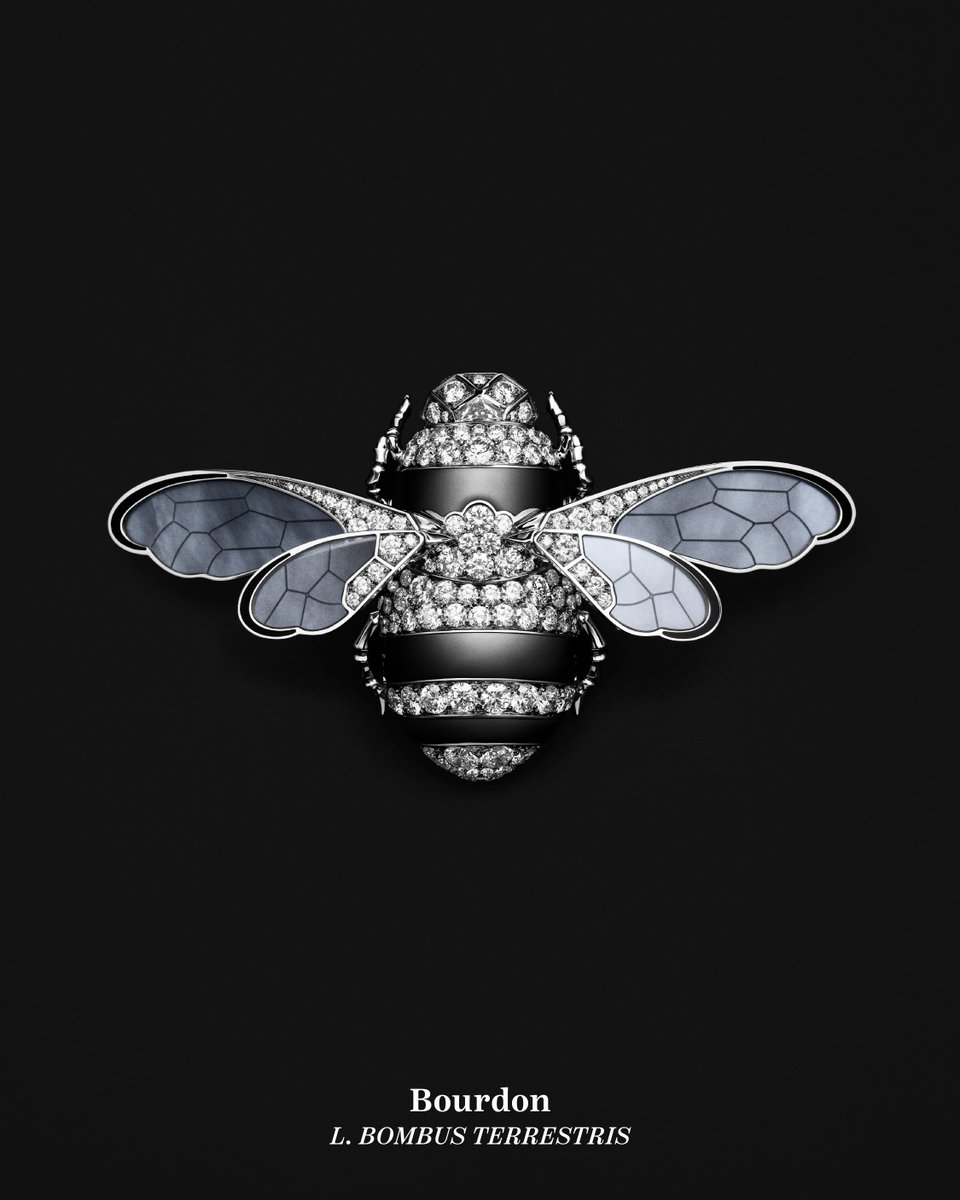 Boucheron's tweet photo. UNTAMED NATURE, a new Histoire de Style collection as a living encyclopedia of High Jewelry.

Bourdon, Bombus terrestris

#HighJewelry #UntamedNature https://t.co/YU8XX0ORho