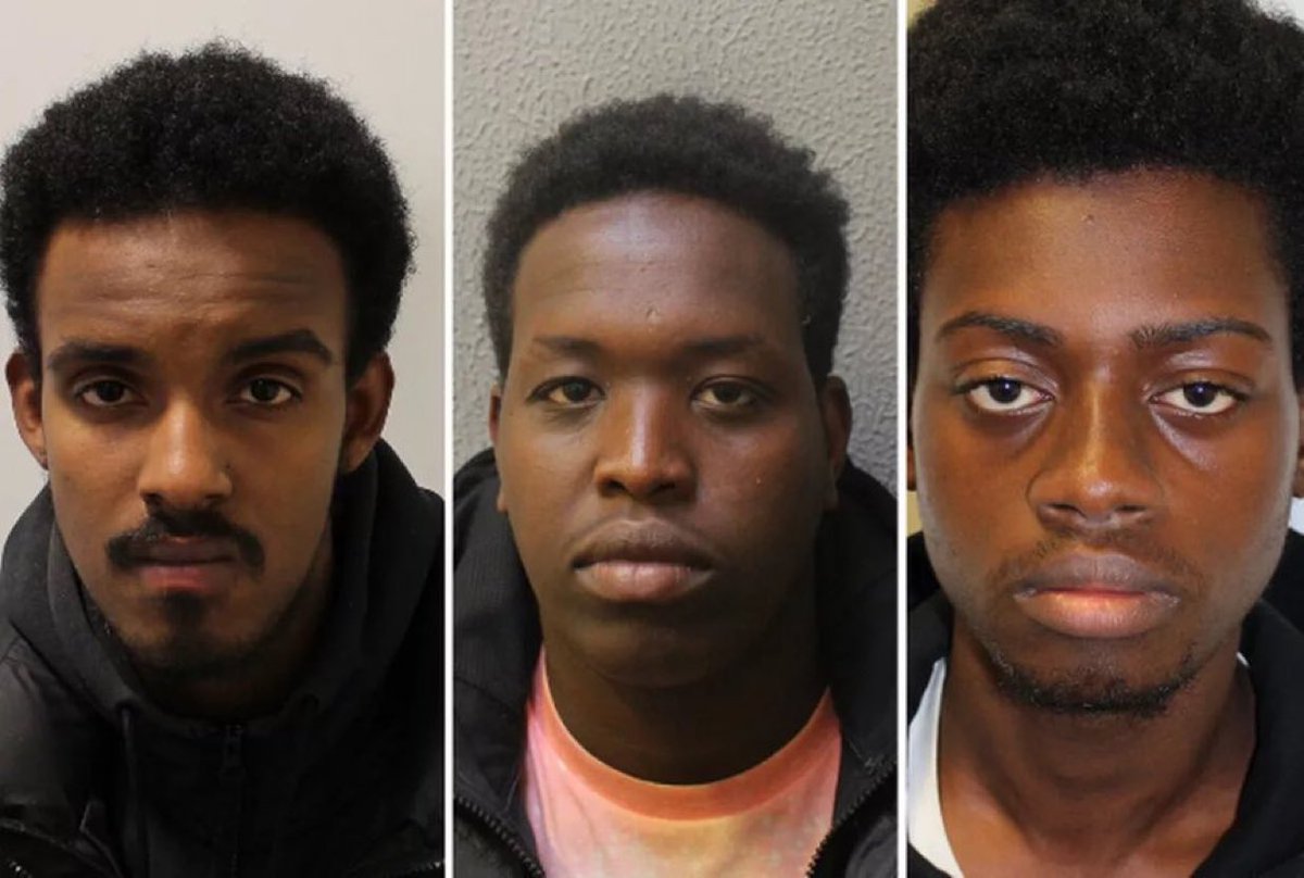 Deport Foreign Criminals tweet media