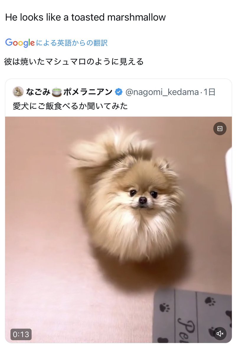 こんにちは、焼いたマシュマロの妖精です