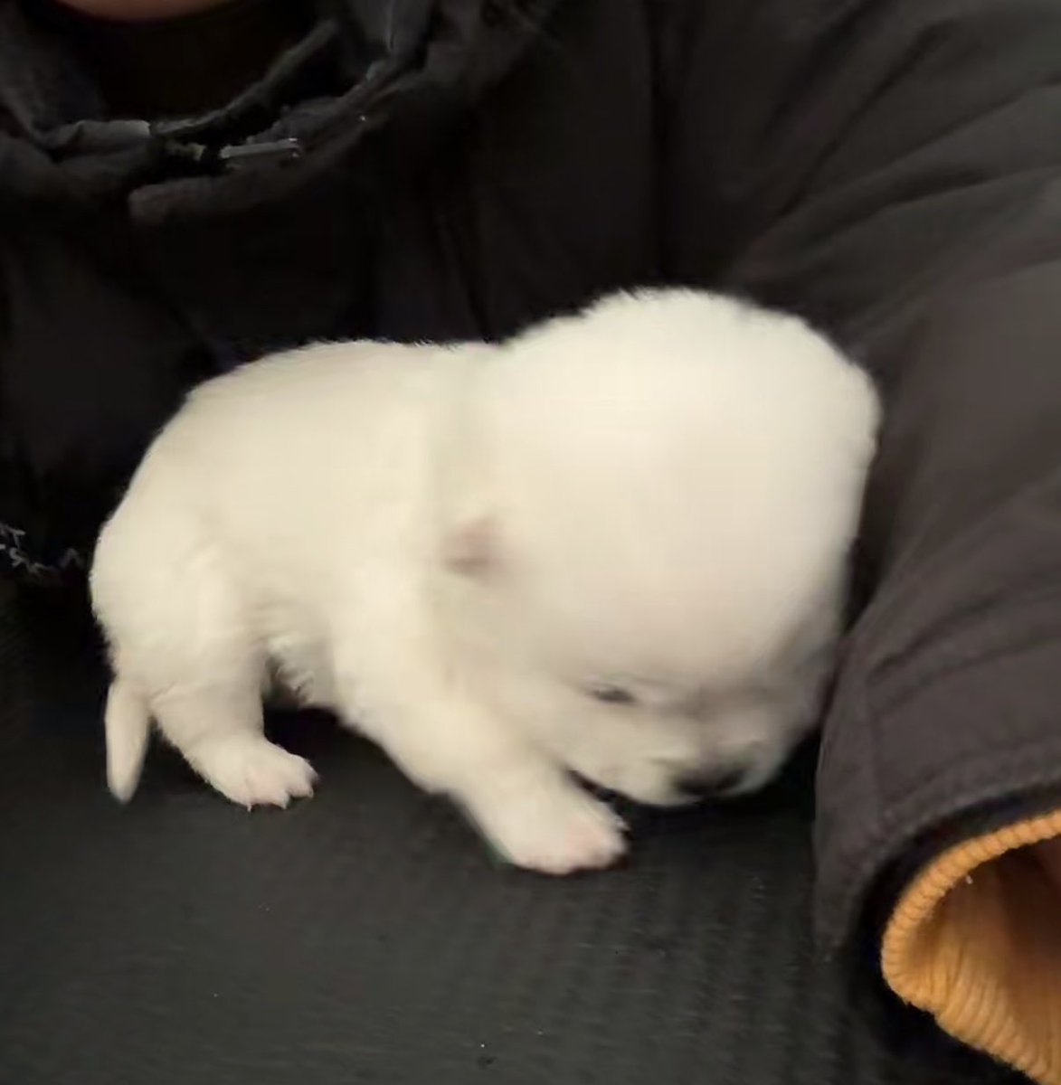 สันยาว่าจะเป้นเด้กดี