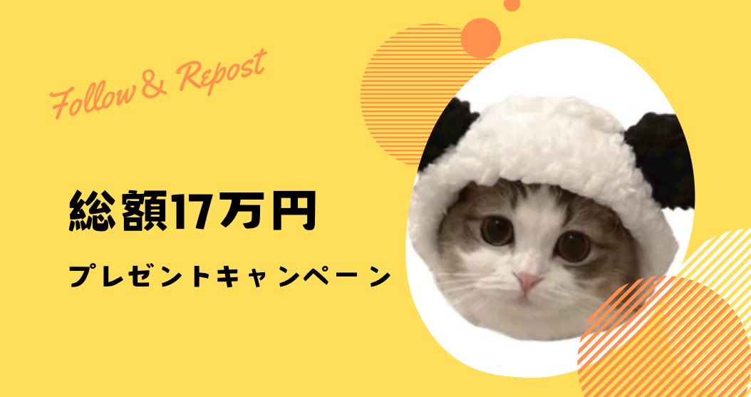 じゃろたろ大型プレゼントキャンペーン🎁

🥇等￤100000円 × 1名様

🥈等￤50000円 × 1名様

🥉等￤10000円 × 2名様

じゃろたろのフォローとリポストで参加🐼
抽選はあたるってぃーで行います！！

〆2月22日24時
