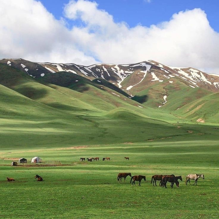 cultureartislam's tweet image. Kyrgyzstan.