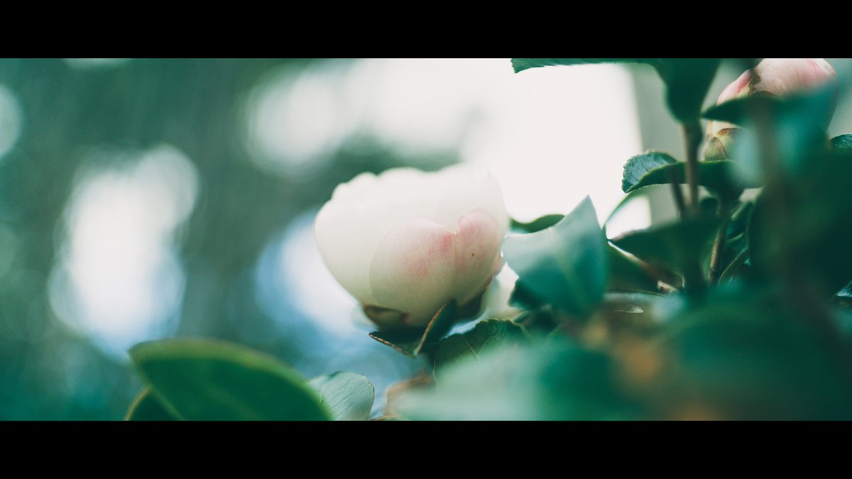 sho__pic's tweet photo. life. https://t.co/JmzzSo4quR
