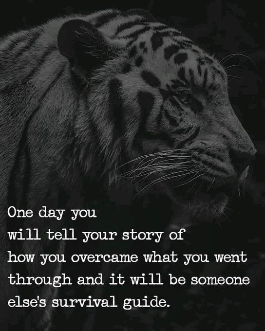 mindfulmaven_'s tweet photo. https://t.co/Pfkpb1e3ZE