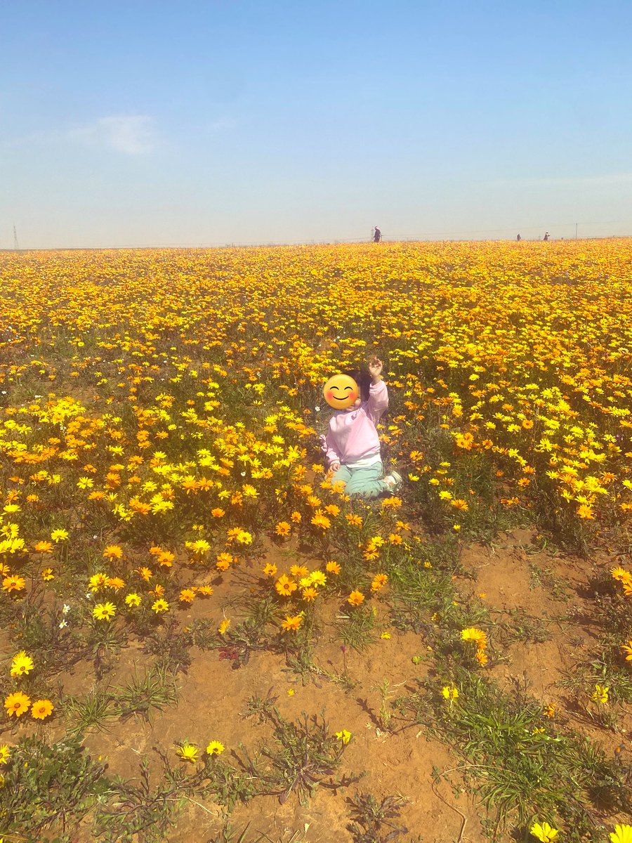 لمّا التقيتك أحيا الحُبُّ أورِدتي
وأيقظ النبض في روحي وأحياها

كأنّ دُنيايَ أهدتني سعادتها
فما أرقّ وما أحلى هداياها

فيا لبهجةِ عينٍ أنت ساكِنها
ويا لفرحةِ رُوحٍ أنت دُنياها

فأنت ألطف إحساسٍ جرى بدَمي
وأنتَ أجملُ أقداري وأحلاها 🤍💛