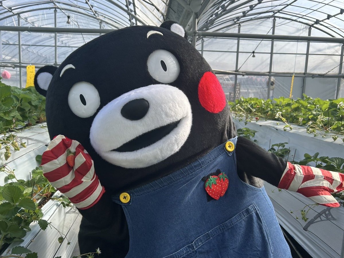 くまもん 🌉×🧸×🏍 通潤橋🌉 ここから放水されるときもあるらしい🚰 迫力