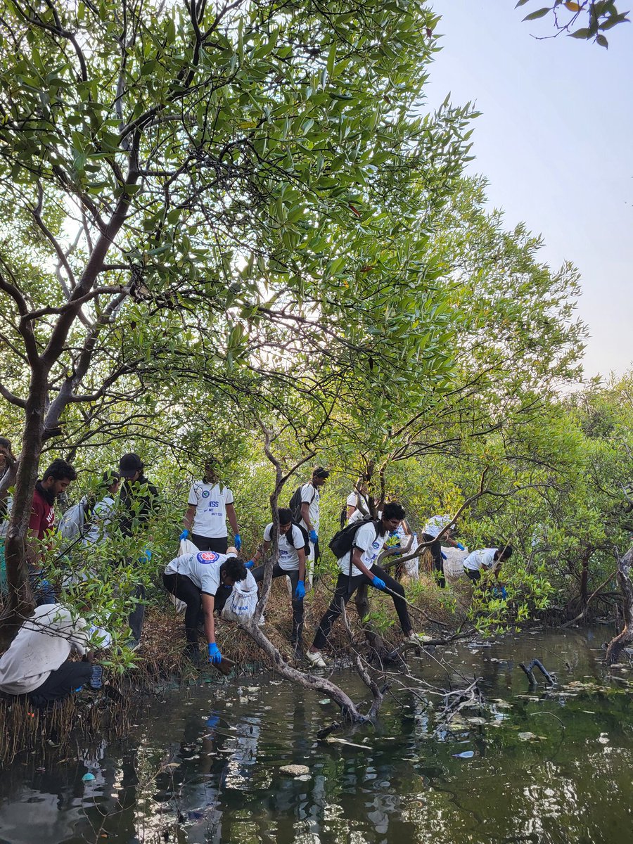 dharmeshbarai's tweet photo. Week 234 - #MangrovesCleanupDrive
Let’s pledge to protect our planet for a better future.
Each of us can contribute towards a healthier planet.
Together, we make @thebetterindia
#SarsoleJetty #navimumbai https://t.co/YW0SiLUn6g