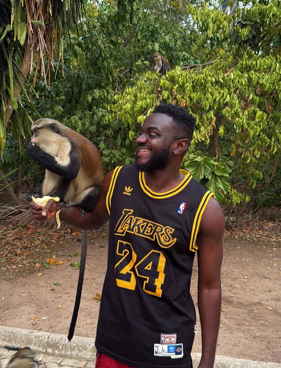 📍: Tafi Atome Monkey Sanctuary 

Meet the Mona monkeys of Tafi-Atome! For 200 years, these messengers to the gods have been protected and adored. The playful Mona monkeys of Tafi-Atome are living their best lives.

Join us for our next tour !! 

#Ontheroad #Monkeys