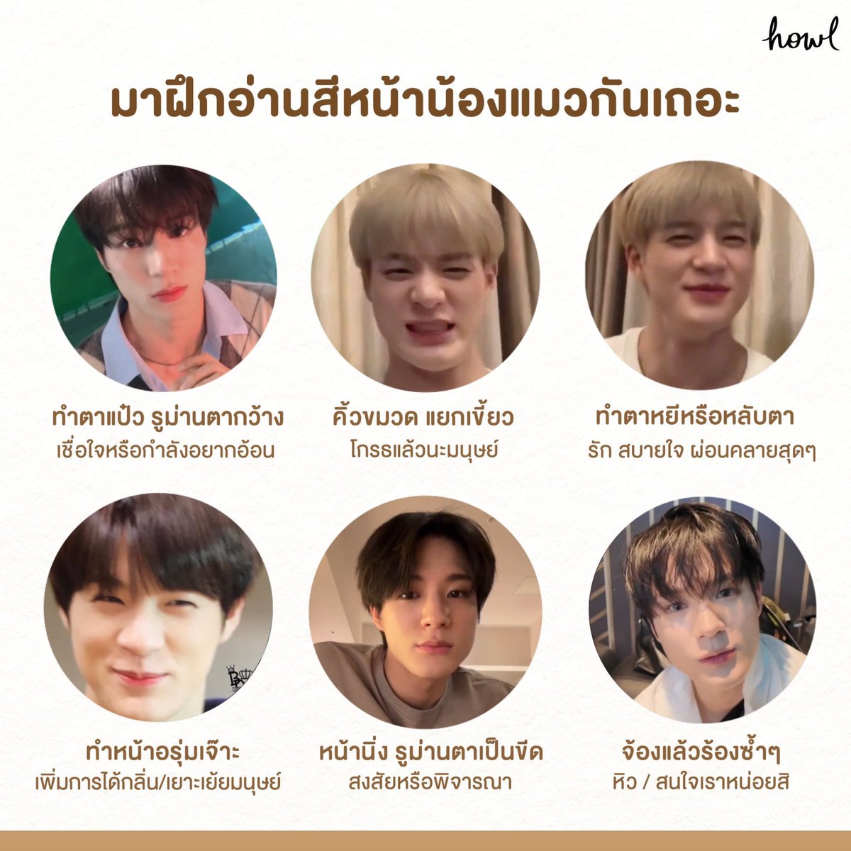 gqwtarr's tweet photo. มาฝึกอ่านสีหน้าน้องแมวกันเถอะ🐈🎀 https://t.co/UihYkbIOCN