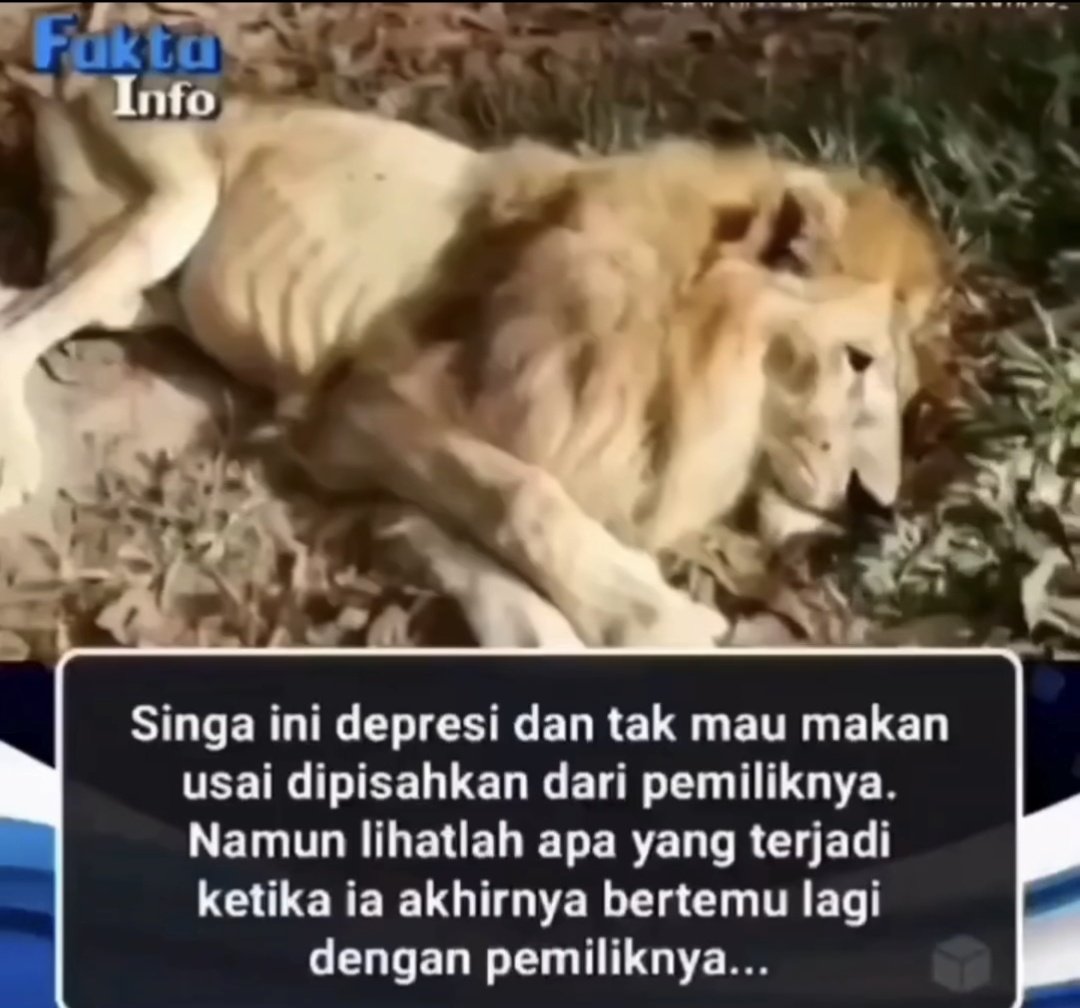 Sedih banget 😭 gak nyangka kok bisaaa 🥺