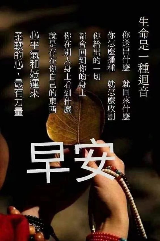 phhiep (@phhiep7992) on Twitter photo 