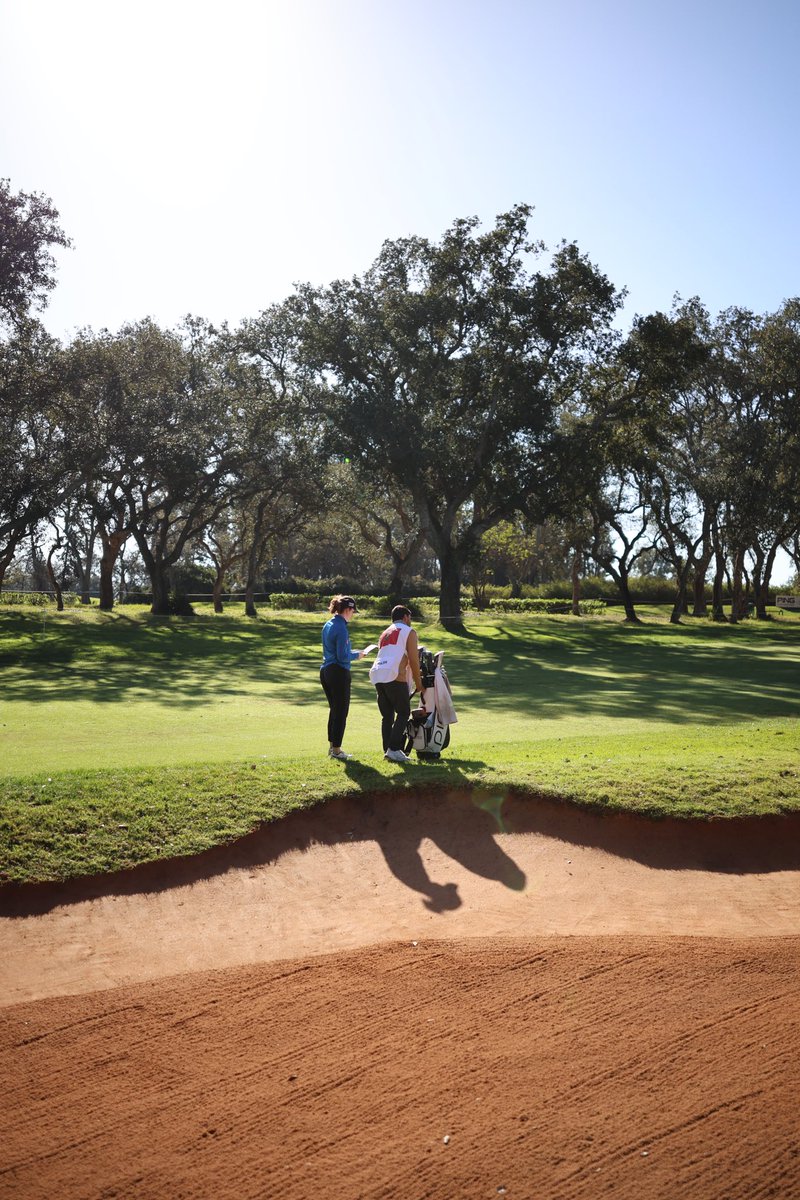 Lauren Walsh tweet media