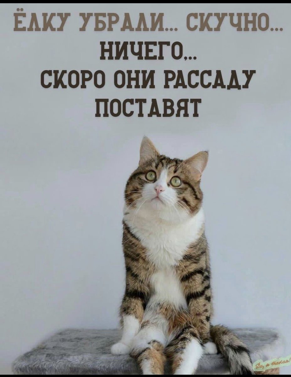 SemennicovaV's tweet photo. https://t.co/ElrllauJJU