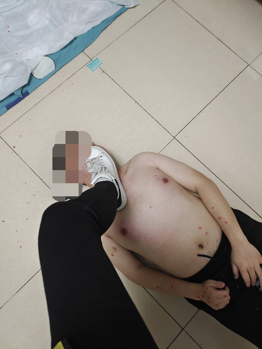 女主最近心情不好，来个能接受全体重踩踏和狂抽耳光的。女主自小娇生惯养，大小姐气质就喜欢直接全体重踩你狗脸上