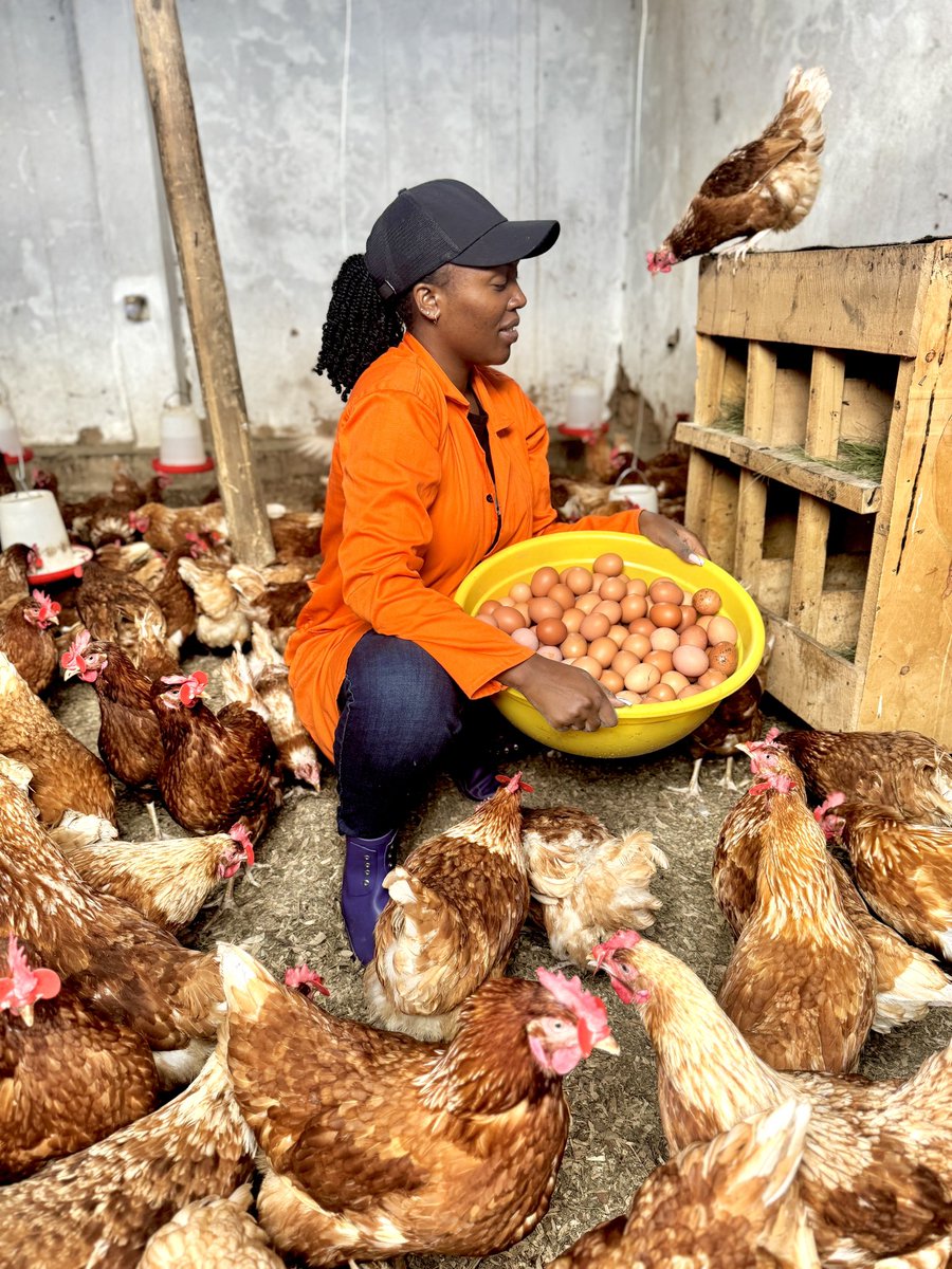 Eagle Farm🇷🇼 tweet media