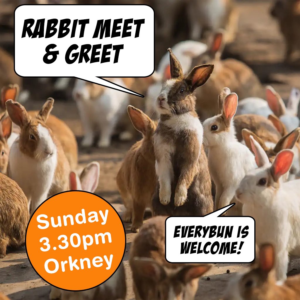 Come bun, come all to the Scotiacon rabbit meet today at 3.30pm in Orkney (just behind the artist alley). “Hop” to see you there!