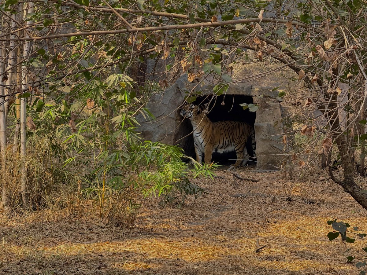 Niihant's tweet photo. Wild #snieshant #snieshantphotography https://t.co/nedPhgzgOW