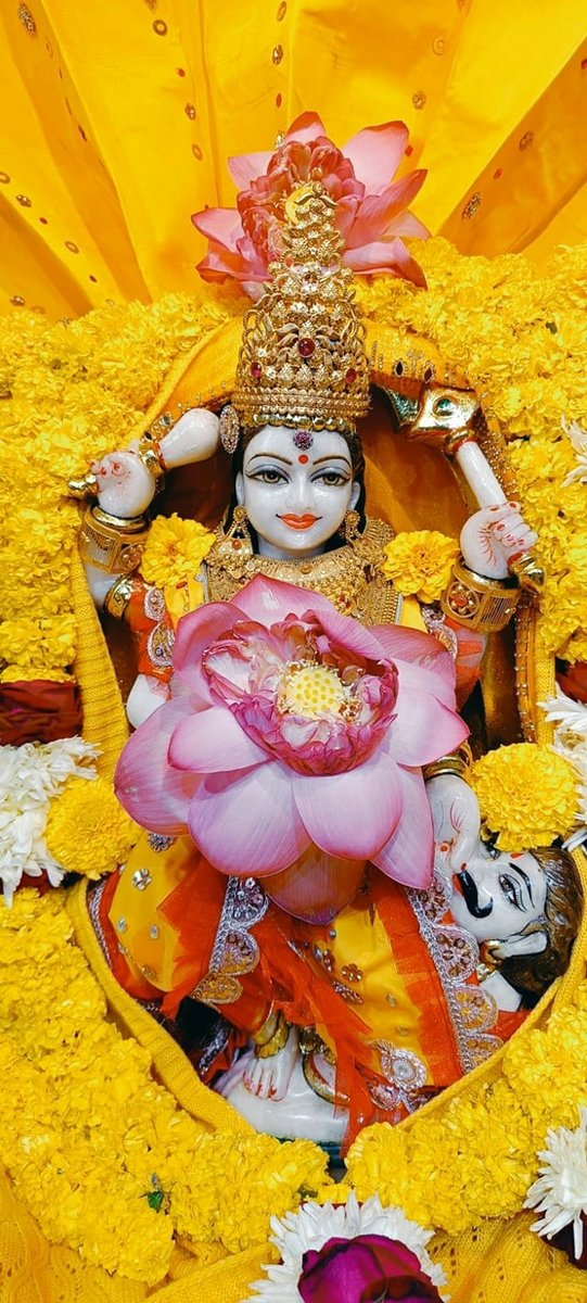 शक्तिरूपा बगलामुखी देवी की पूजार्चन करने से ऋण,रोग व शत्रु का भय समाप्त हो जाता है। वैदिक तंत्र-मन्त्र-यंत्र के ग्रन्थ में कहा गया है कि यदि शत्रुओं का शमन करना है तो श्री बगलामुखी मन्त्र का प्रयोग करना चाहिए।