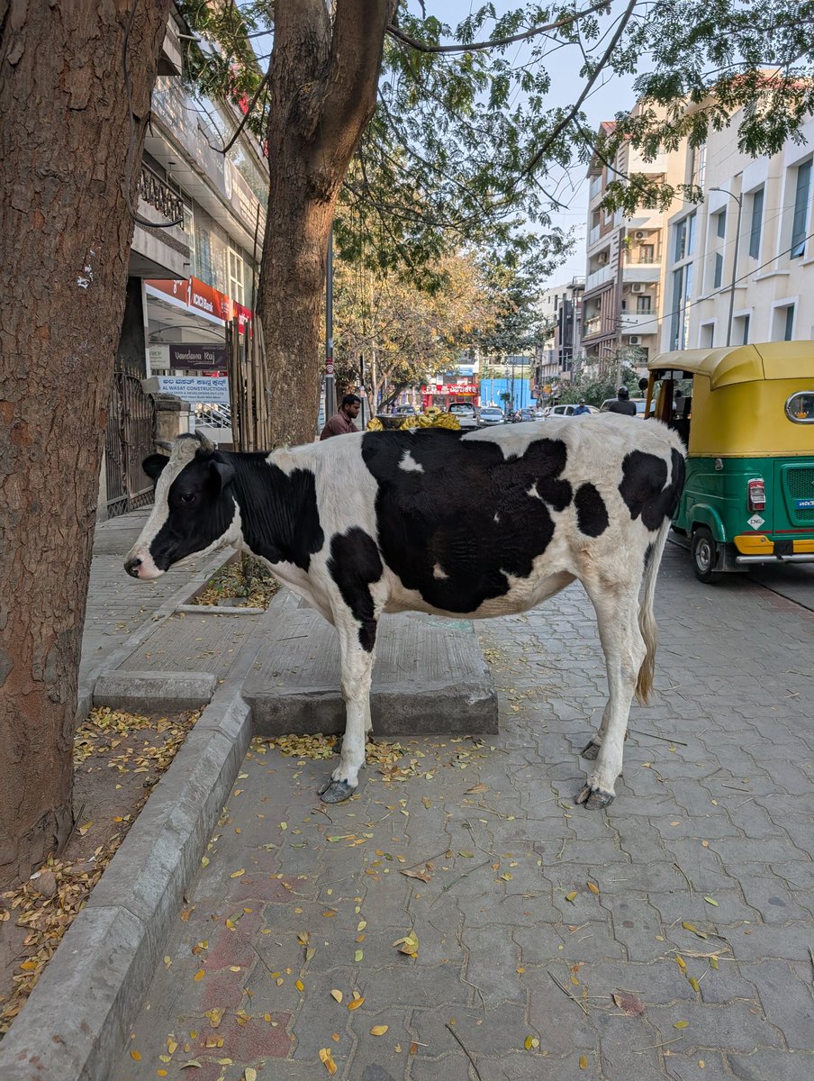 Hak Matsuda tweet media