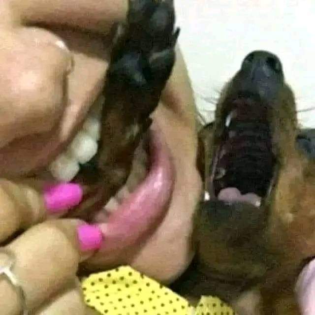 Perfumepussy's tweet photo. Não tenho nem oq falar do o gr4u pq tipo é o role mais foda que ta tendo na cena de Curitiba 

Foda do foda foi essa noite https://t.co/tWNm4F4bqr