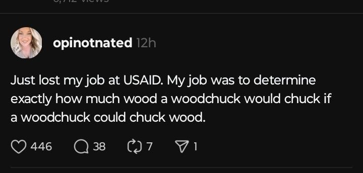 gadgetTimenow's tweet image. @opinotnated    Just lost my job at USAID. My job was to determine exactly how much wood a woodchuck would chuck if a woodchuck could chuck wood.  #StopTheSteal #BeatTheCheat #DefundTheDeepState #MAGA #realDonaldTrump threads.net/@opinotnated/p…