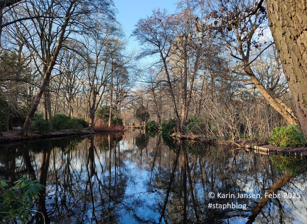 staphblog's tweet photo. Für einen klaren Kopf und gute Entscheidungen tut genau das gut: Raus in die Natur, bei Wind und Wetter, und wenn die Sonne endlich wieder scheint, um so besser. 🌤️ ☀️ 🌲🐭🐦🕊️
#naturebeauty #naturelovers #NatureHeals #NaturePhotography #MentalStrength #staphblog https://t.co/JzpBTfvgjO
