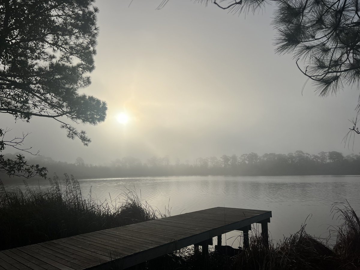 MarcD_Anderson's tweet image. A fog-shrouded, serene Little Lake at Alabama Gulf State Park this morning in Orange Beach. @spann @NWSMobile