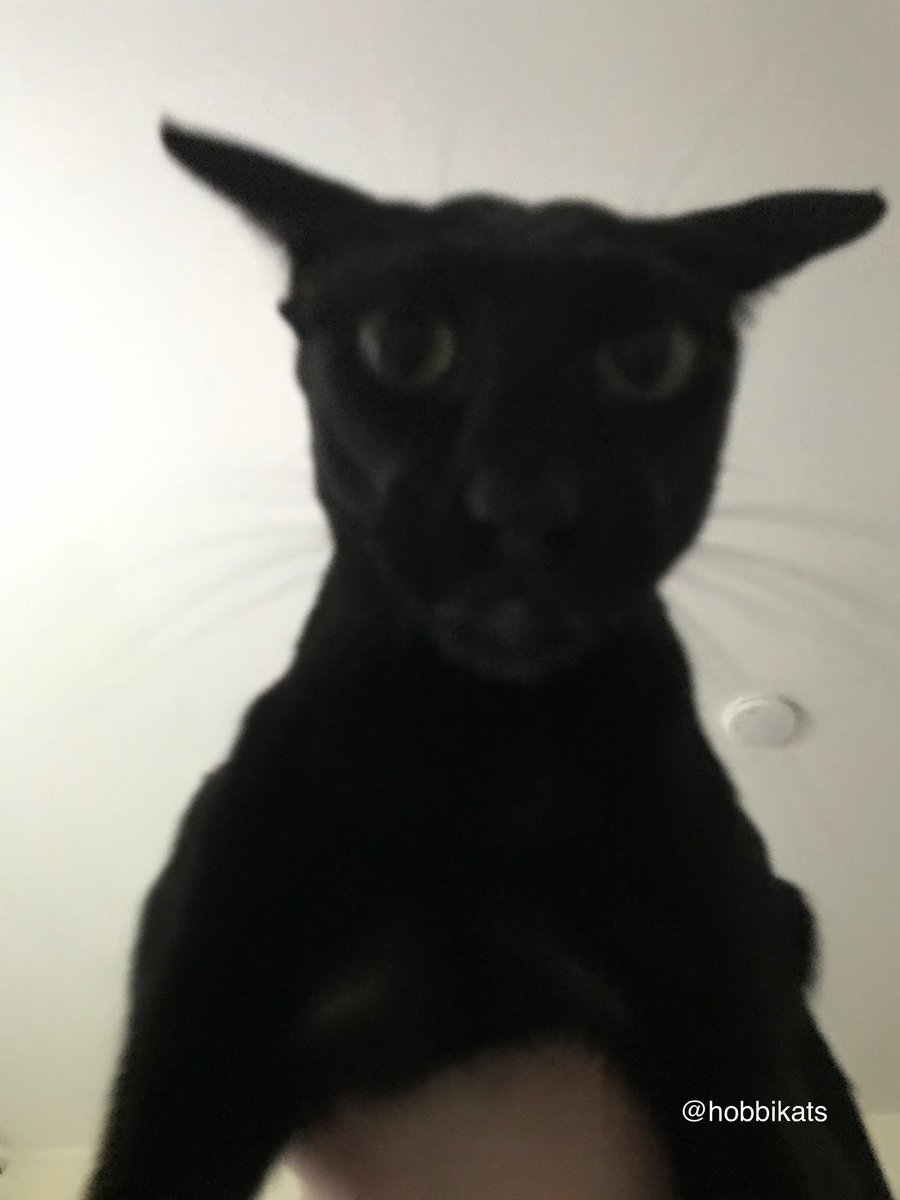 Did you know Dexter *is* Evil Larry? Stay tuned for more pics from this session.