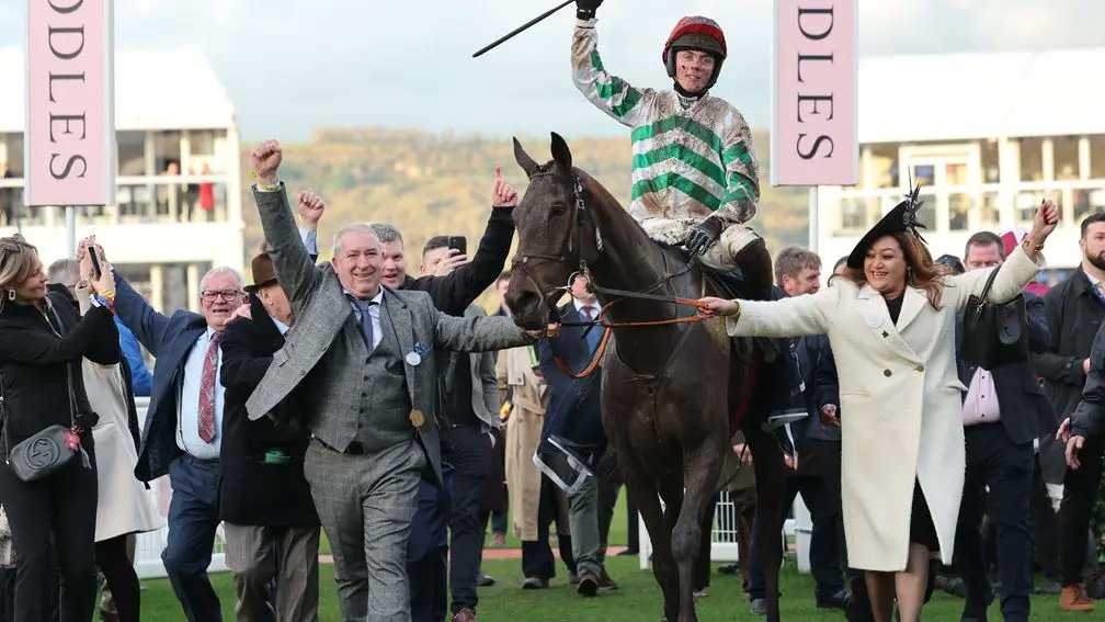 Better Days Ahead lands his first Graded success in the William Hill Best Odds Guaranteed Novice Chase.

A son of the late Milan, the Goffs Arkle graduate was bred by TJ Nagle out of Bonnie And Bright, making him a brother to the useful Milan Bound. 

He sold to Gordon Elliott