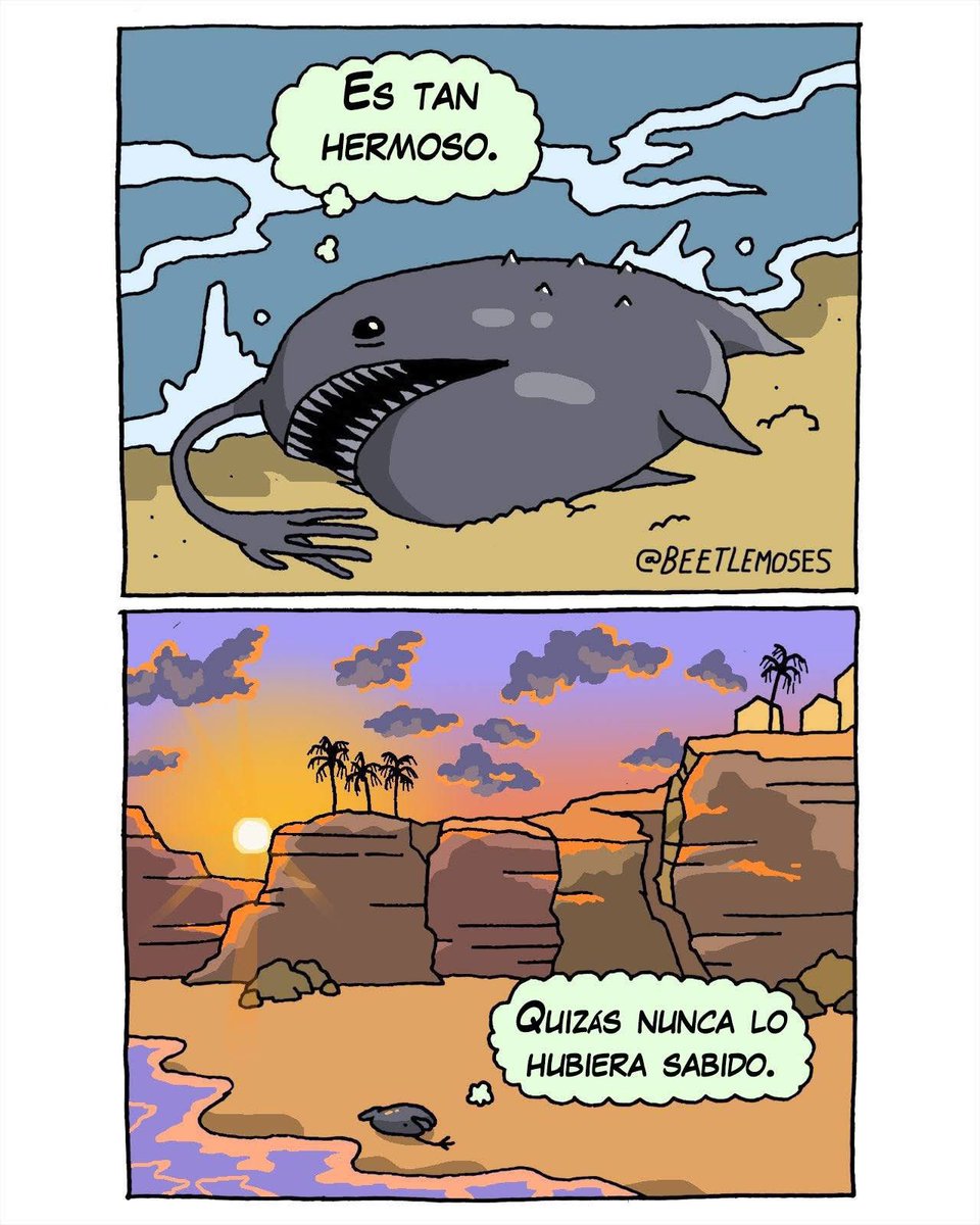 Fico Gonzalez tweet media