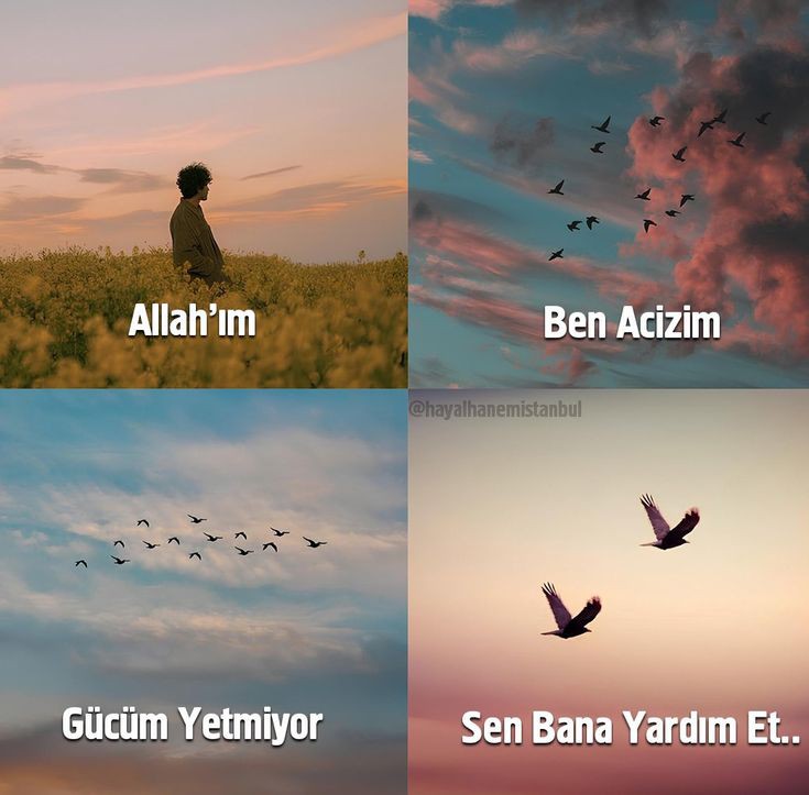 Elif ✨ (@lamelif59) on Twitter photo 