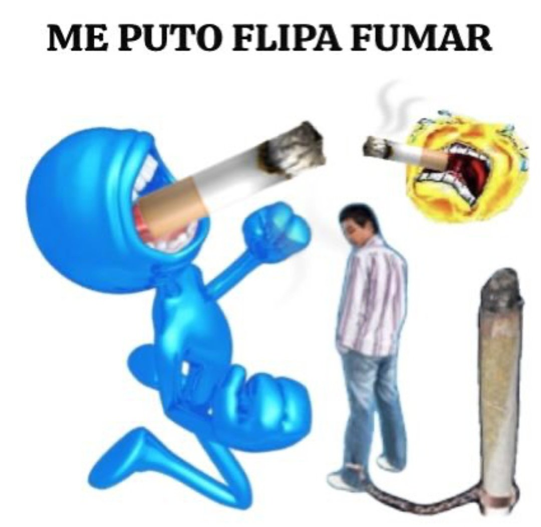 somier (@sommiewav) on Twitter photo 