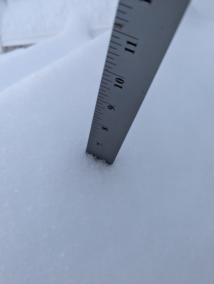 W1PAC's tweet image. @WX1BOX About 6 inches in the Pine Hill neighborhood of Lynn, MA. #masnow